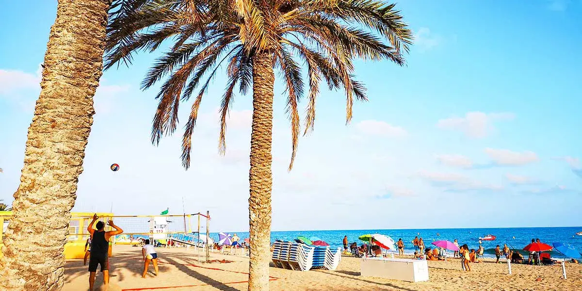Den palmekantede strandpromenaden i Calafell