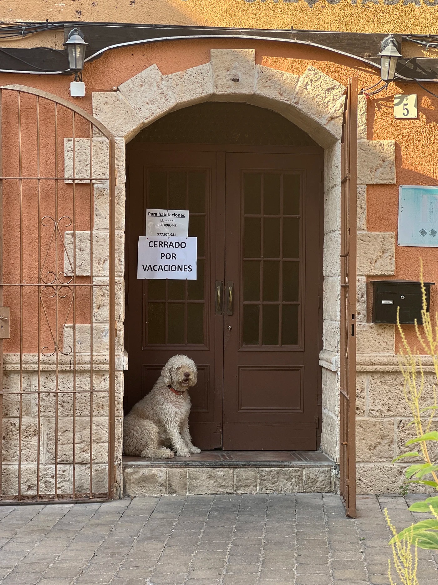 The arched old-town doorway of La Diligencia in Cunit, with the house dog waiting on the step