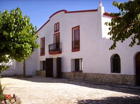 A wine and cava tasting in the Penedès