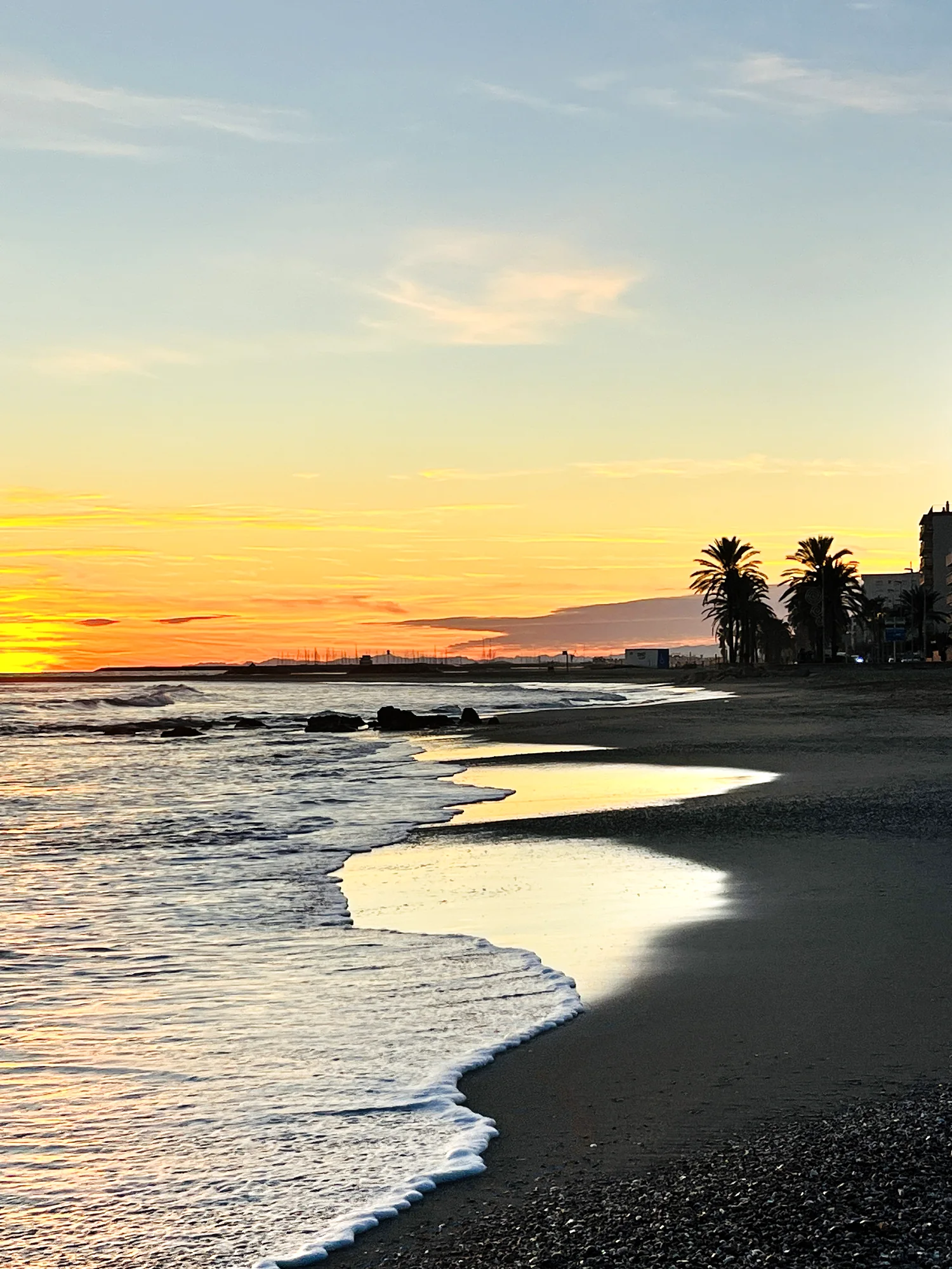 Golden-hour beach with palm trees and mirror-like reflections on the wet sand
