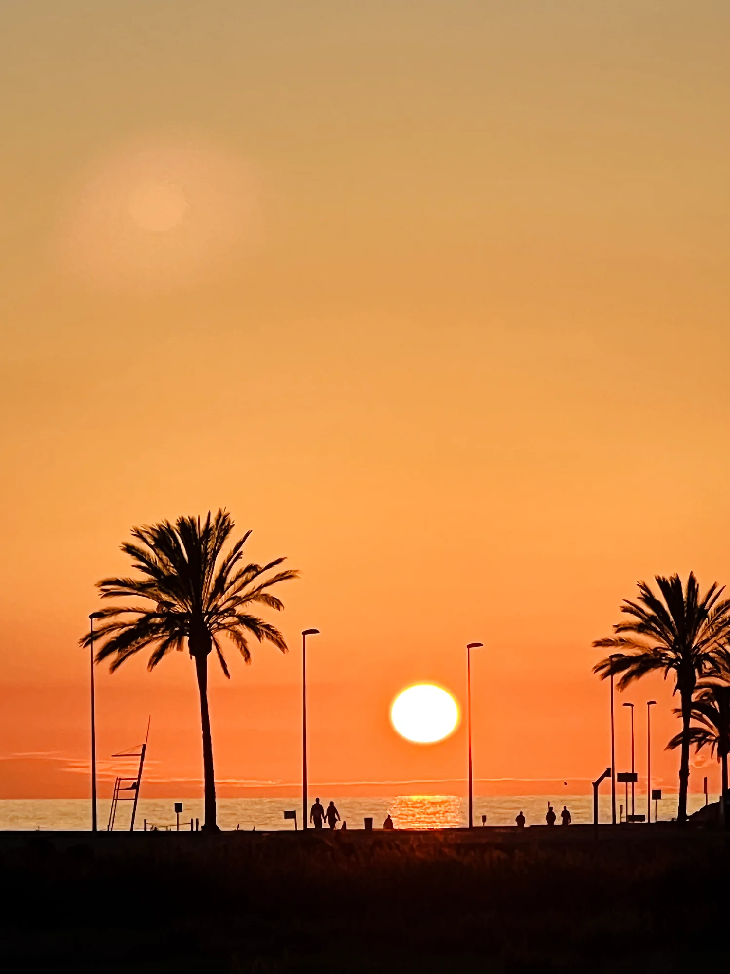 Deep-orange sun setting between promenade palm trees with strolling silhouettes