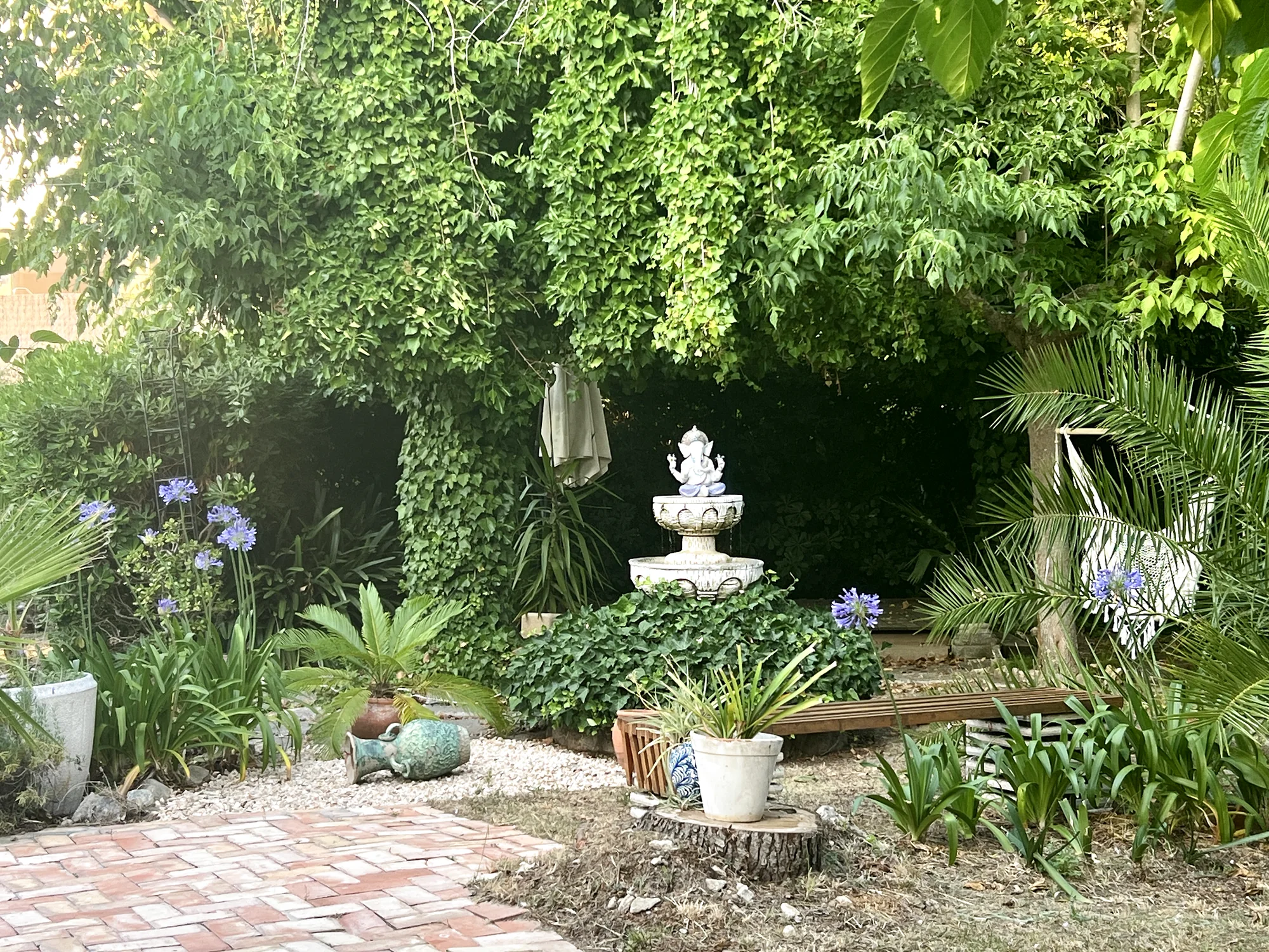 Garden fountain framed by lush greenery and blue agapanthus flowers in bloom